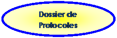 Ellipse: Dossier de Protocoles